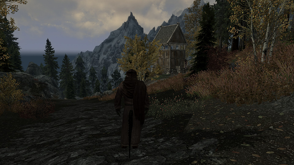 [Image: 0ASXO57.png]