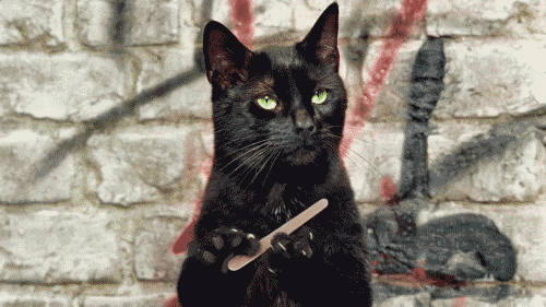 [Image: 0qOH8f9.gif]