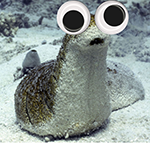[Image: 1OsPjk3.png]