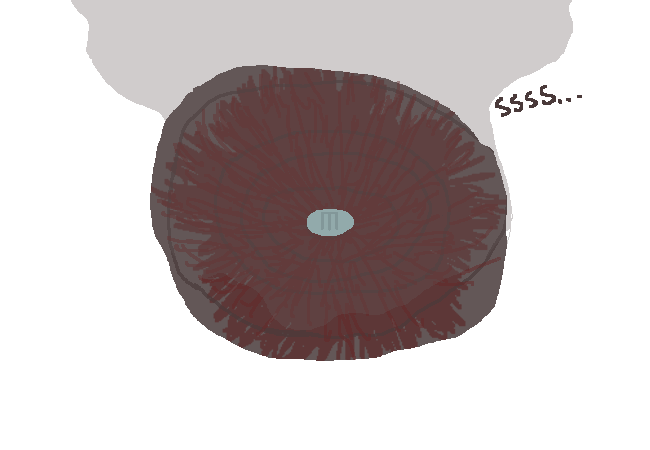[Image: 1RZmeXr.png]