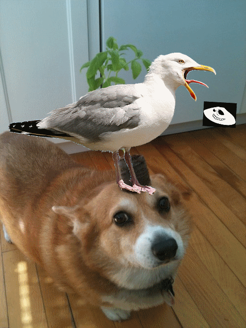 [Image: 1iAMa5H.gif]