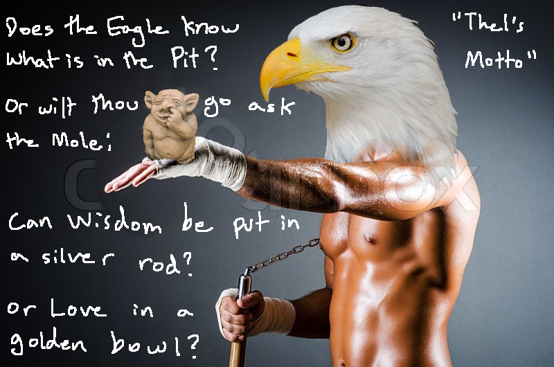[Image: 1twy4p6.png]