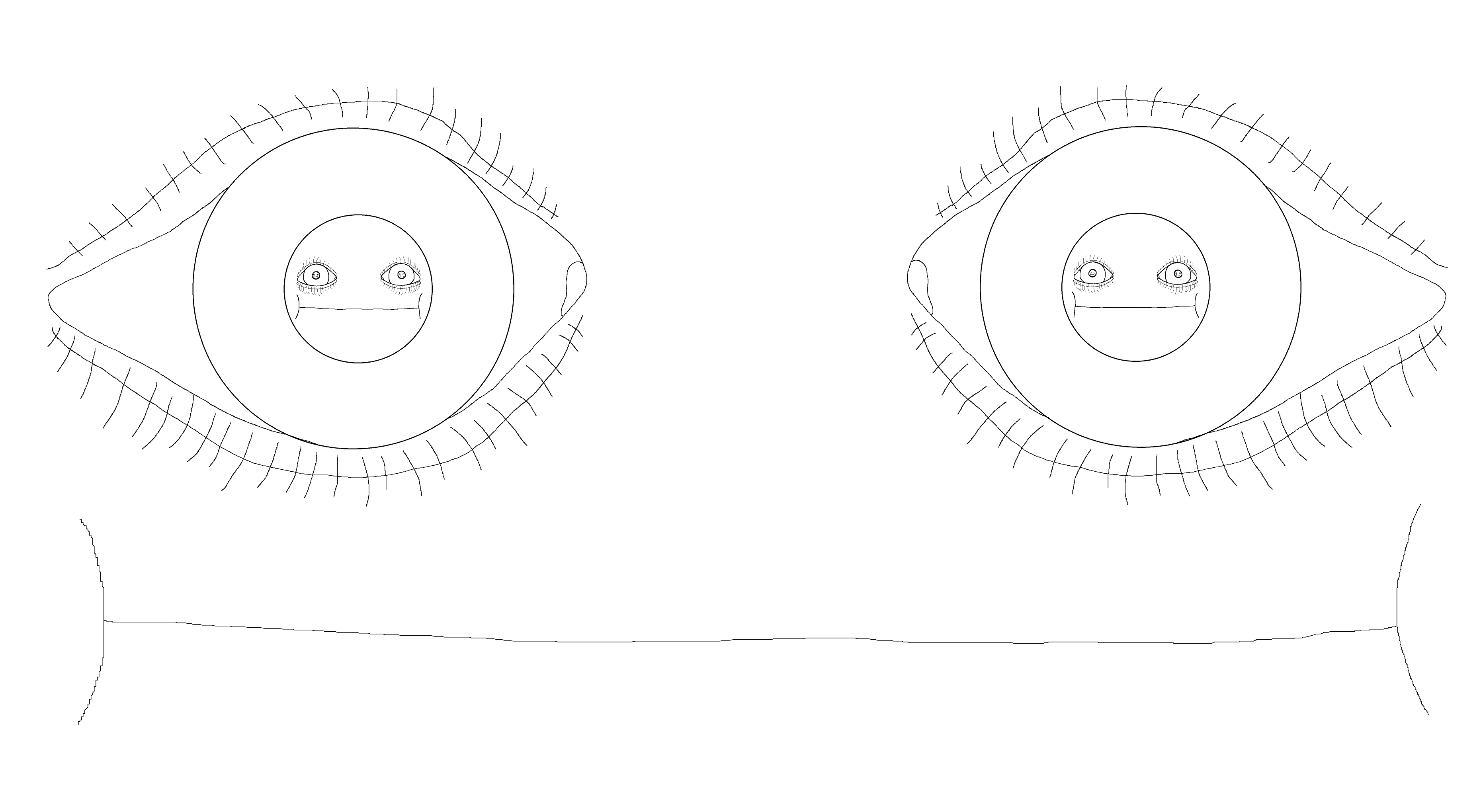 [Image: 2I06a.png]