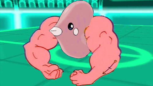 [Image: 5Sgl63t.png]