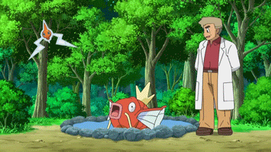 [Image: 7m13mVV.gif]