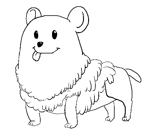 [Image: 80PzDty.png]