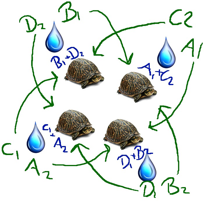 [Image: 8Eufa.jpg]