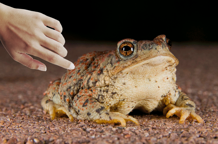 [Image: 8VfRFNv.gif]