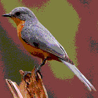 [Image: AHgrMHw.png]