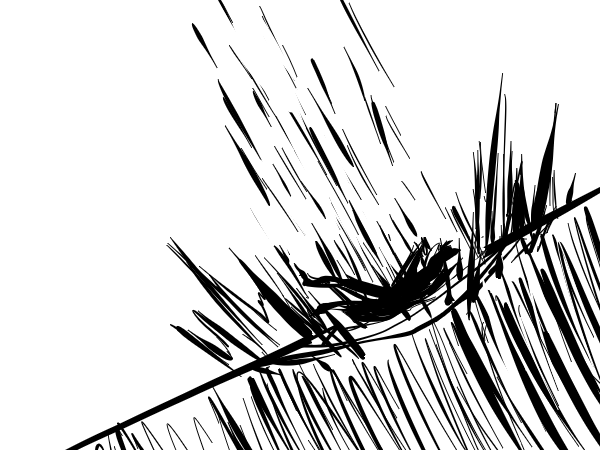 [Image: ASy7ava.png]