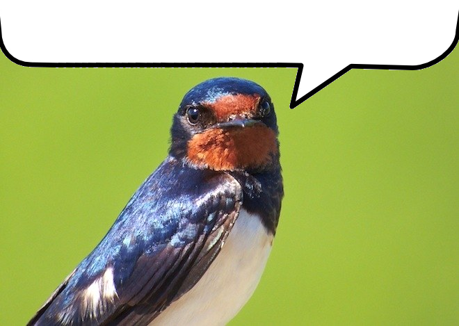 [Image: AZnS56S.png]