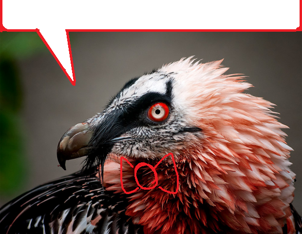 [Image: CoyuSmF.png]