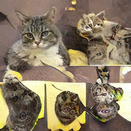 [Image: CpG3beh.png]