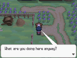 [Image: E4d1Wyb.png]