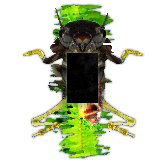 [Image: FTRGX1i.png]