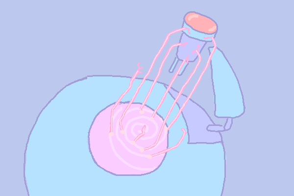 [Image: HAeipJ8.png]