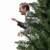 [Image: JRPAq.png]