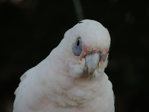 [Image: KRotZN6.jpg]