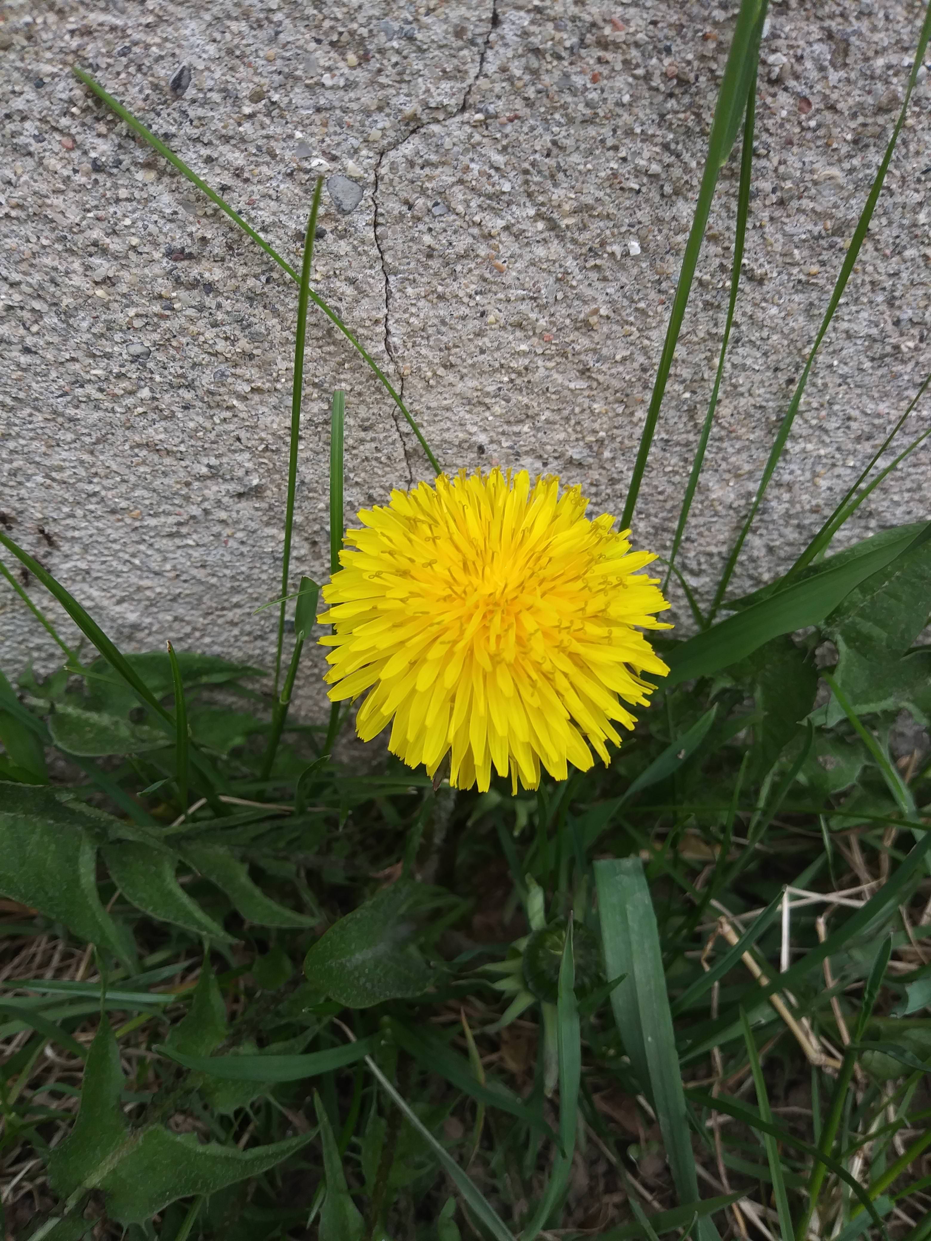[Image: LE72hO4.jpg]