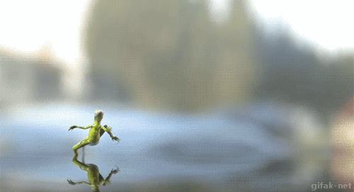[Image: LjpAvef.gif]