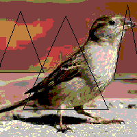 [Image: Nwdgx7Y.png]