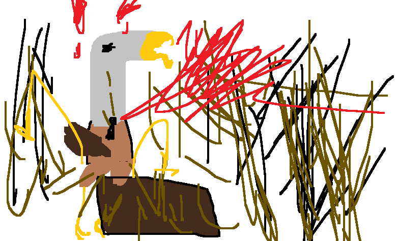 [Image: O9S4Uub.png]