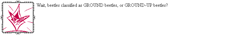 [Image: OEeEZF1.png]