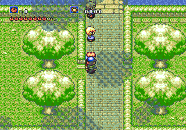 [Image: POLW46b.gif]