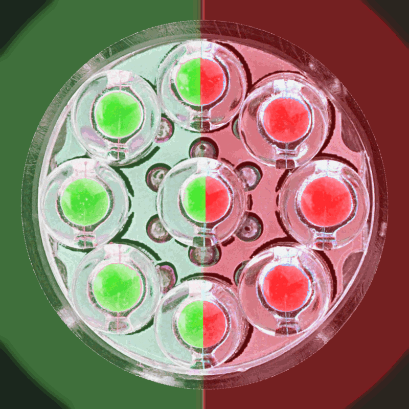 [Image: Ql1ooF5.gif]