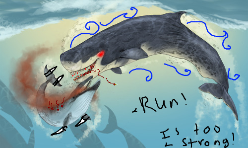 [Image: SBqfMPA.png]