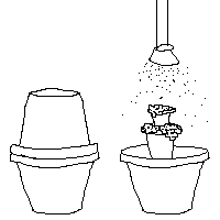 [Image: TBjkKhx.png]