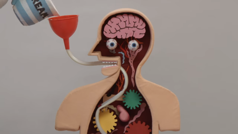 [Image: ToxmW4R.png]