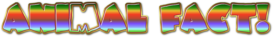 [Image: UGNbp5N.png]