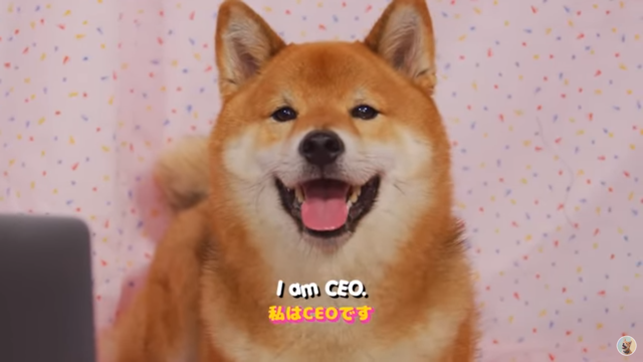 [Image: UkwNs2u.png?1]