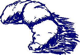 [Image: WmlowDz.png]