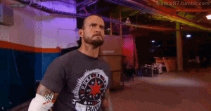 [Image: Xr13VSF.gif]