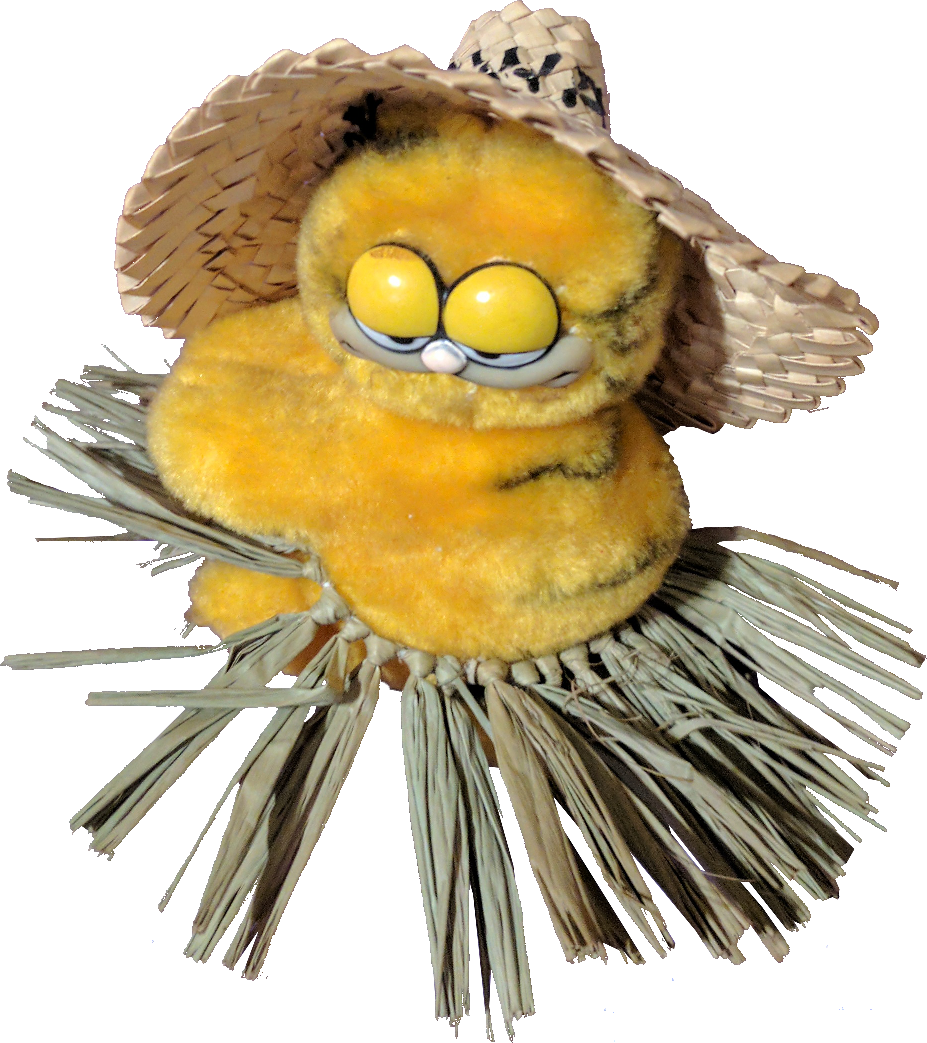 [Image: ZH09hKv.png]