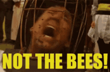 [Image: cGNQDMc.gif]
