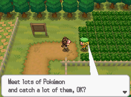 [Image: cWtJ4Me.png]