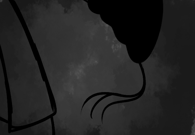 [Image: cynhbae.png]