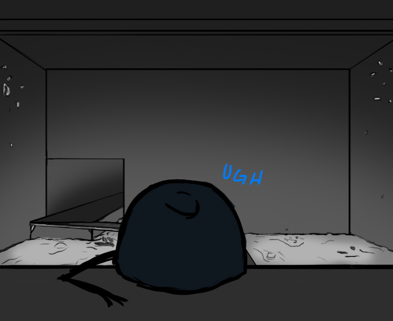 [Image: dTLIKbK.png]