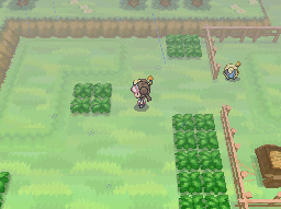 [Image: g5TX2qn.png]
