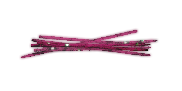 [Image: gKCr8WS.png]