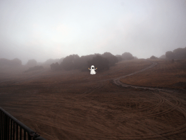 [Image: j9KflVm.gif]
