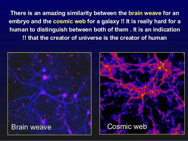 [Image: mWpBBI3.jpg]
