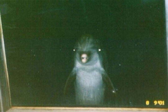 [Image: nPlaYbc.jpg]