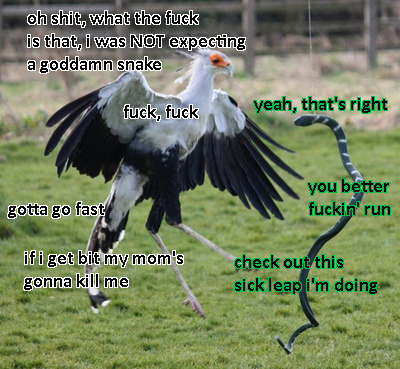 [Image: oSj8zcb.png]