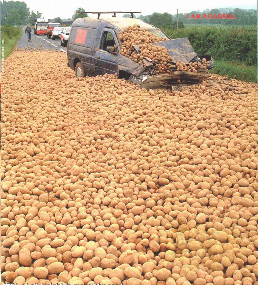 [Image: pHKunEU.jpg]