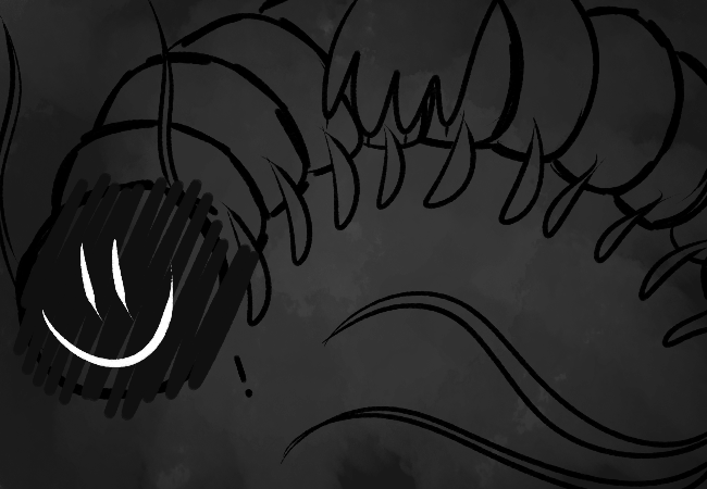[Image: q6k1bEY.png]