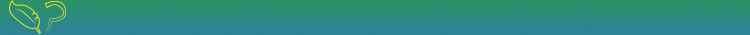 [Image: qtOweuP.gif]